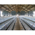 Professional Supplier poultry equipments Chicken Layer Cage